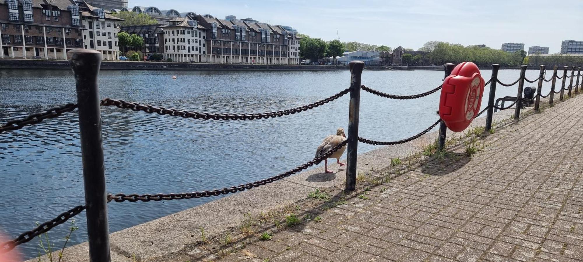 Riverside 1Br With Easy Transport 20Min To City Centre Londres Exterior foto